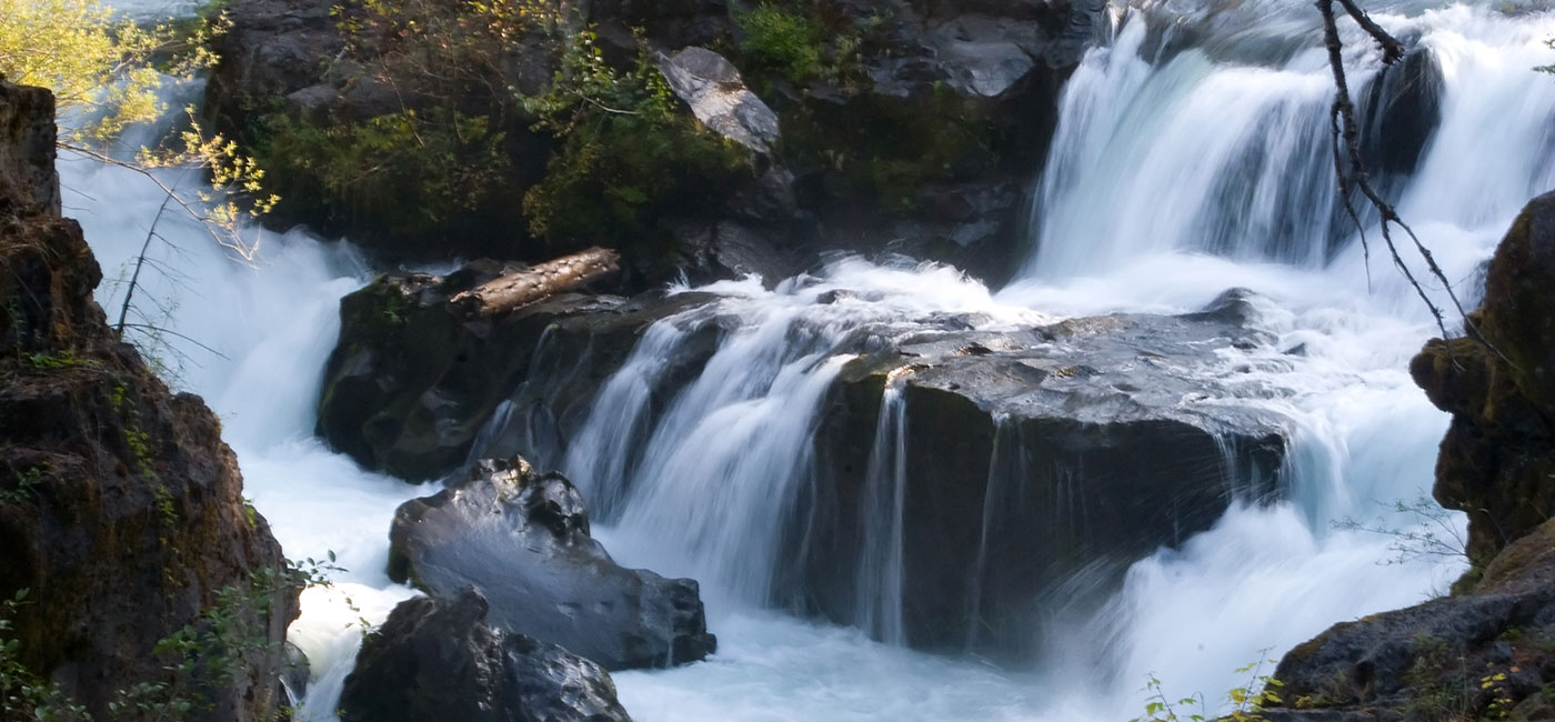 Content Strategy Services